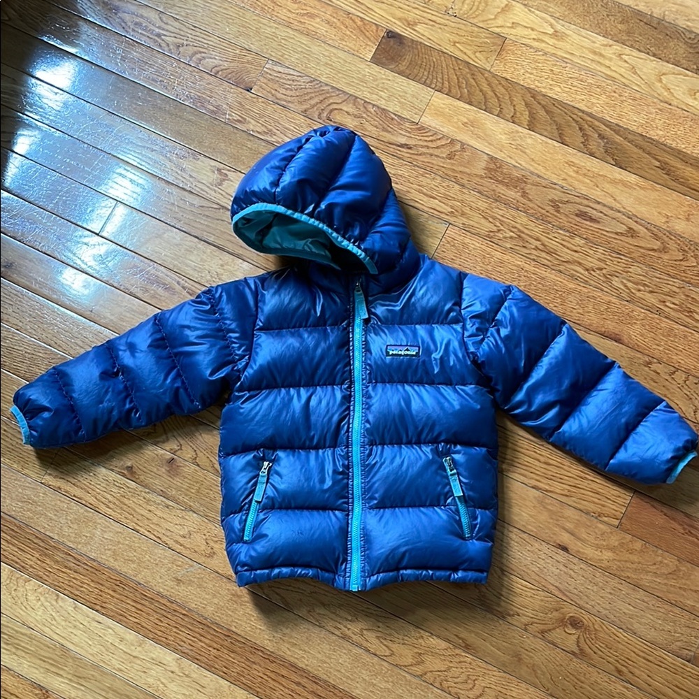 Patagonia Hi Loft Down Hooded Puffer Jacket